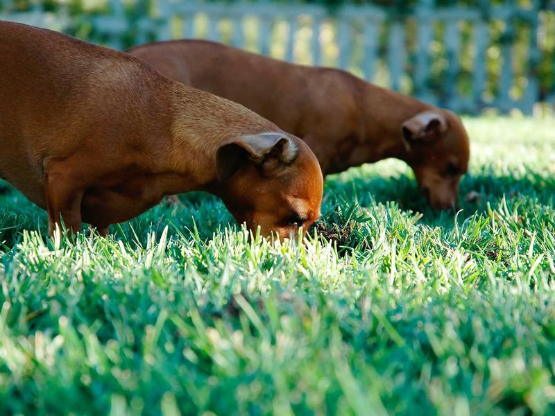 sudoku pattern learning screenshot 6