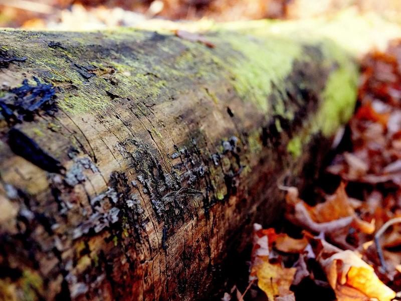 sudoku solver screenshot 5